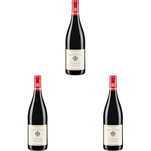 Graf Neipperg Neipperger Spätburgunder, Rotwein aus Württemberg trocken (1 x 0.75 l) (Packung mit 3) von Weingut des Grafen Neipperg