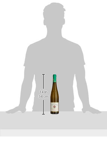 Weingut des Grafen Neipperg Neipperger Schlossberg Riesling GG Cuvée 2020 (1 x 0.75 l) von Weingut des Grafen Neipperg