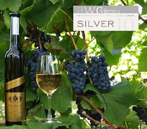 EISWEIN Spätburgunder HEILIGE NACHT Blanc de Noir EISWEIN Spätburgunder HEILIGE NACHT Blanc de Noir von Weinhaus Dieter Kuntz