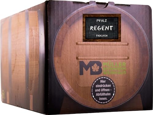 Weinhaus Müller Bornheim 5L Bag in Box Regent Rotwein trocken 2022, Geschmack:trocken, Sorte:Regent, Größe:5 L von Weinhaus Müller Bornheim