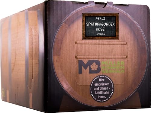 Weinhaus Müller Bornheim 5L Bag in Box Pfälzer Spätburgunder Rosé lieblich 2022 - Qualitäts-Rosé lieblich aus der Pfalz - rosé Qualitätswein lieblich - Rosé made in Germany von Weinhaus Müller Bornheim