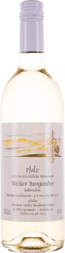 Weinhaus Müller Bornheim 0,75 L Flasche Pfälzer Weißburgunder halbtrocken 2023 - Qualitäts-Weißwein halbtrocken aus der Pfalz - weißer Qualitätswein, Anzahl:12 Flaschen von Weinhaus Müller Bornheim