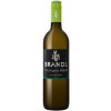 Brandl 2022 Sauvignon Blanc trocken von Weinhof Brandl