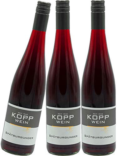 3 Flaschen 2022er Spätburgunder Rotwein trocken Deutscher Prädikatswein 0,75l, direkt vom Erzeuger: Weingut Kopp in Ranschbach von Weinkellerei Kopp