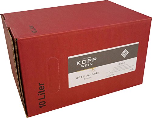 5 Liter Spätburgunder Rotwein in Bag in Box, direkt vom Erzeuger: Weingut Kopp in Ranschbach von Weinkellerei Kopp