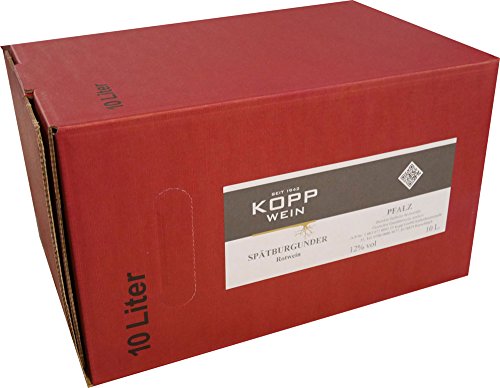 5 Liter Spätburgunder Rotwein in Bag in Box, direkt vom Erzeuger: Weingut Kopp in Ranschbach 5 Liter Spätburgunder Rotwein in Bag in Box, direkt vom Erzeuger: Weingut Kopp in Ranschbach von Weinkellerei Kopp