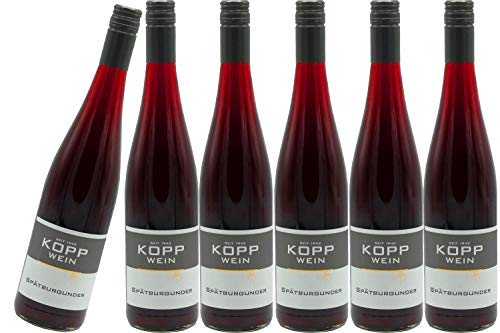 6 Flaschen 2022er Spätburgunder Rotwein trocken Deutscher Prädikatswein 0,75l, direkt vom Erzeuger: Weingut Kopp in Ranschbach von Weinkellerei Kopp