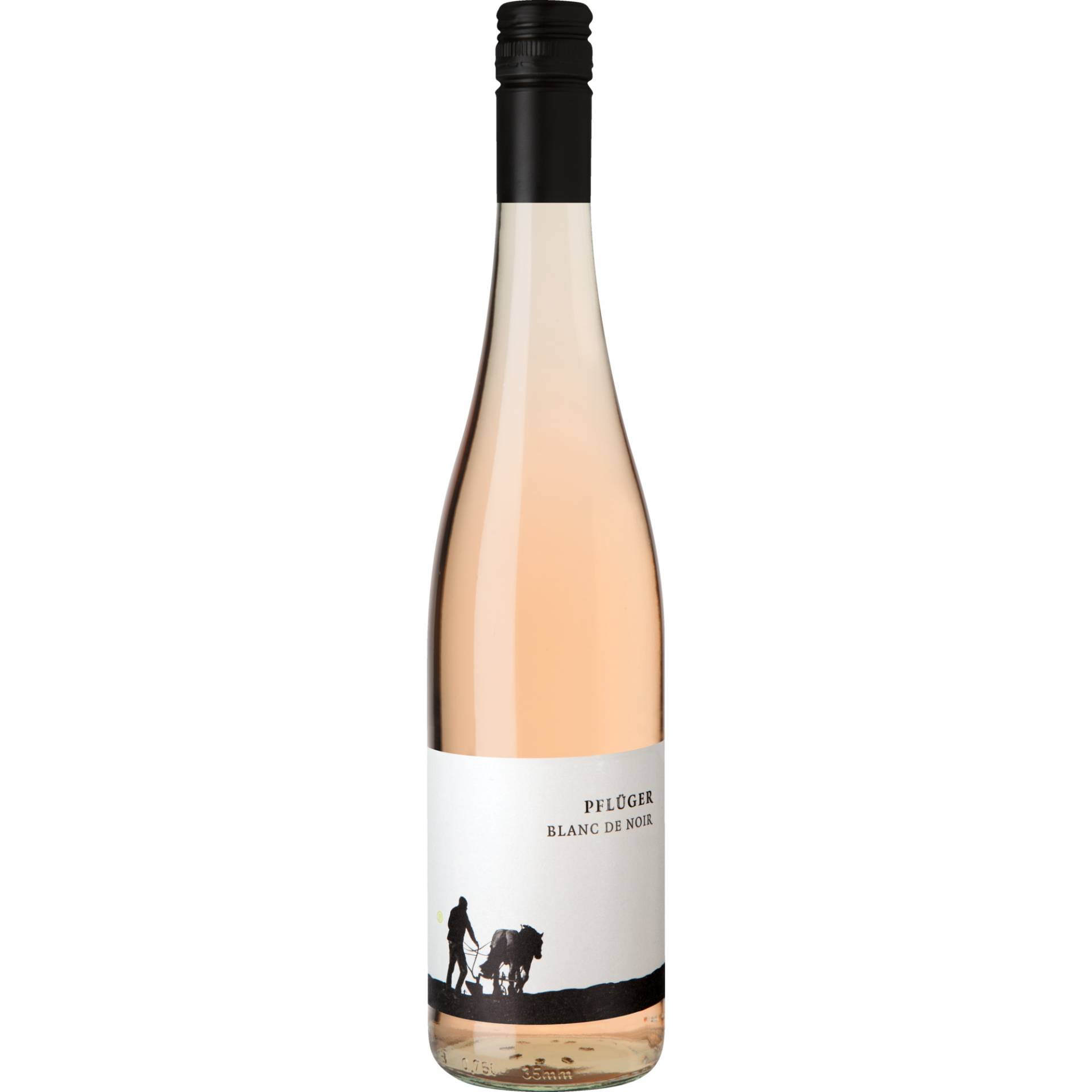 Pflüger Blanc de Noir, Trocken, Pfalz, Pfalz, 2023, Roséwein Pflüger Blanc de Noir, Trocken, Pfalz, Pfalz, 2023, Roséwein von Weinkontor A.&J. Pflüger, D - 67098 Bad Dürkheim