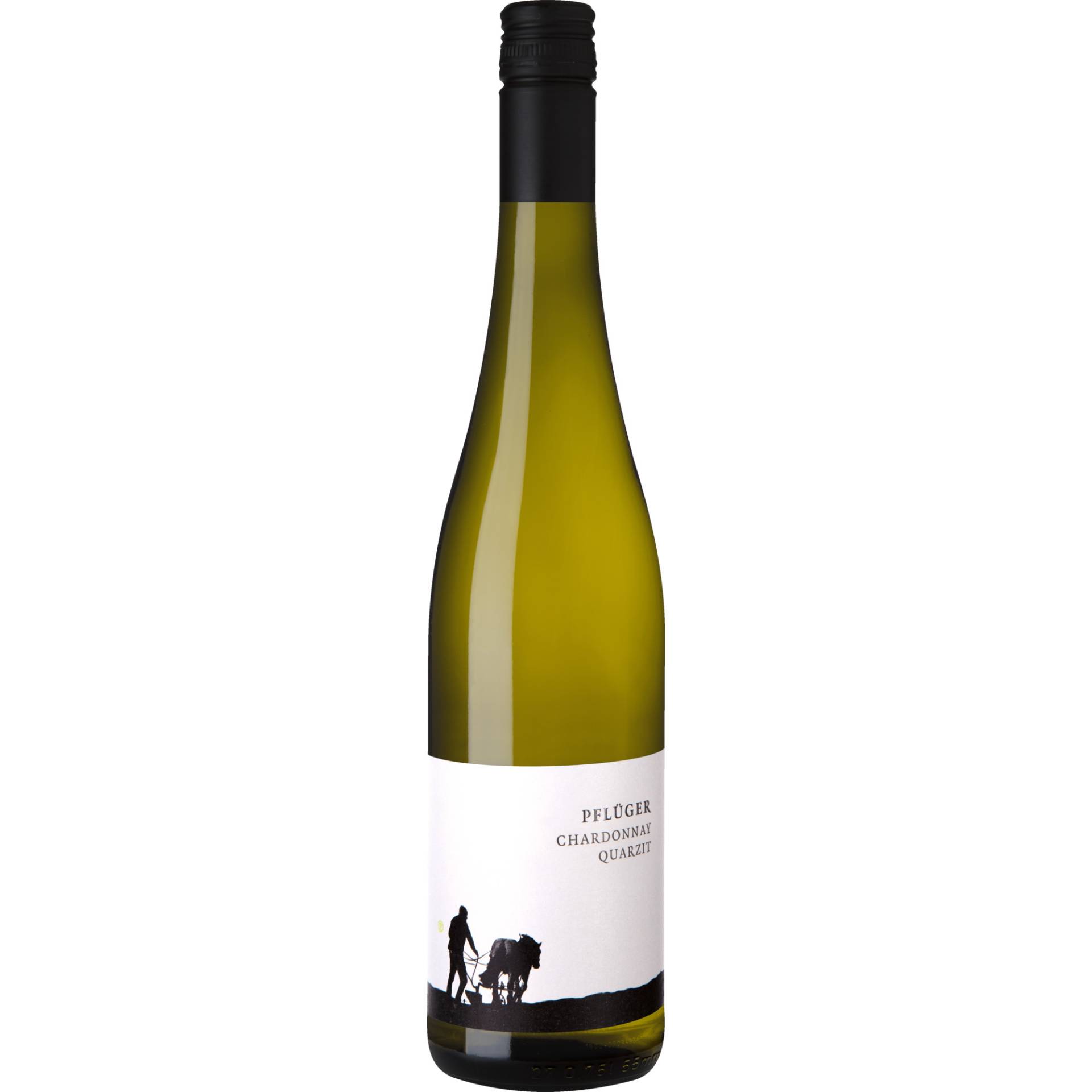 Pflüger Chardonnay vom Quarzit, Trocken, Pfalz, Pfalz, 2023, Weißwein Pflüger Chardonnay vom Quarzit, Trocken, Pfalz, Pfalz, 2023, Weißwein von Weinkontor A.& J. Pflüger, D - 67098 Bad Dürkheim