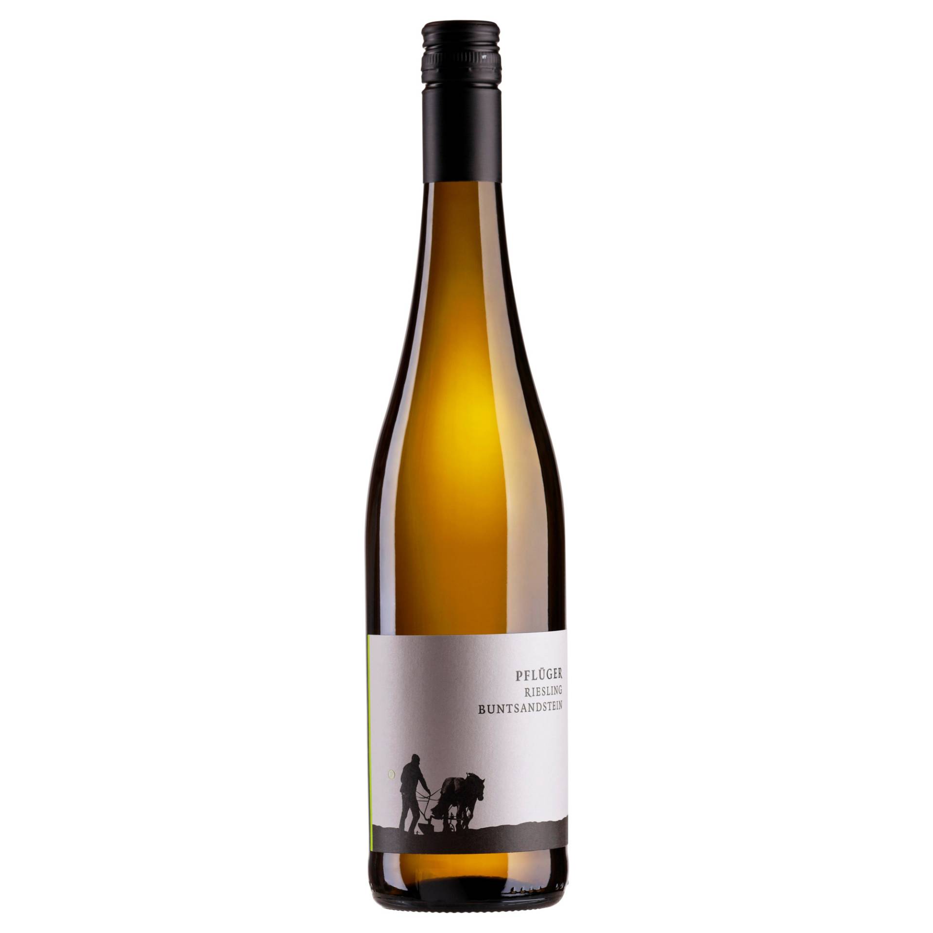 Pflüger Riesling vom Buntsandstein, Trocken, Pfalz, Pfalz, 2022, Weißwein Pflüger Riesling vom Buntsandstein, Trocken, Pfalz, Pfalz, 2022, Weißwein von Weinkontor A.&J. Pflüger, D - 67098 Bad Dürkheim