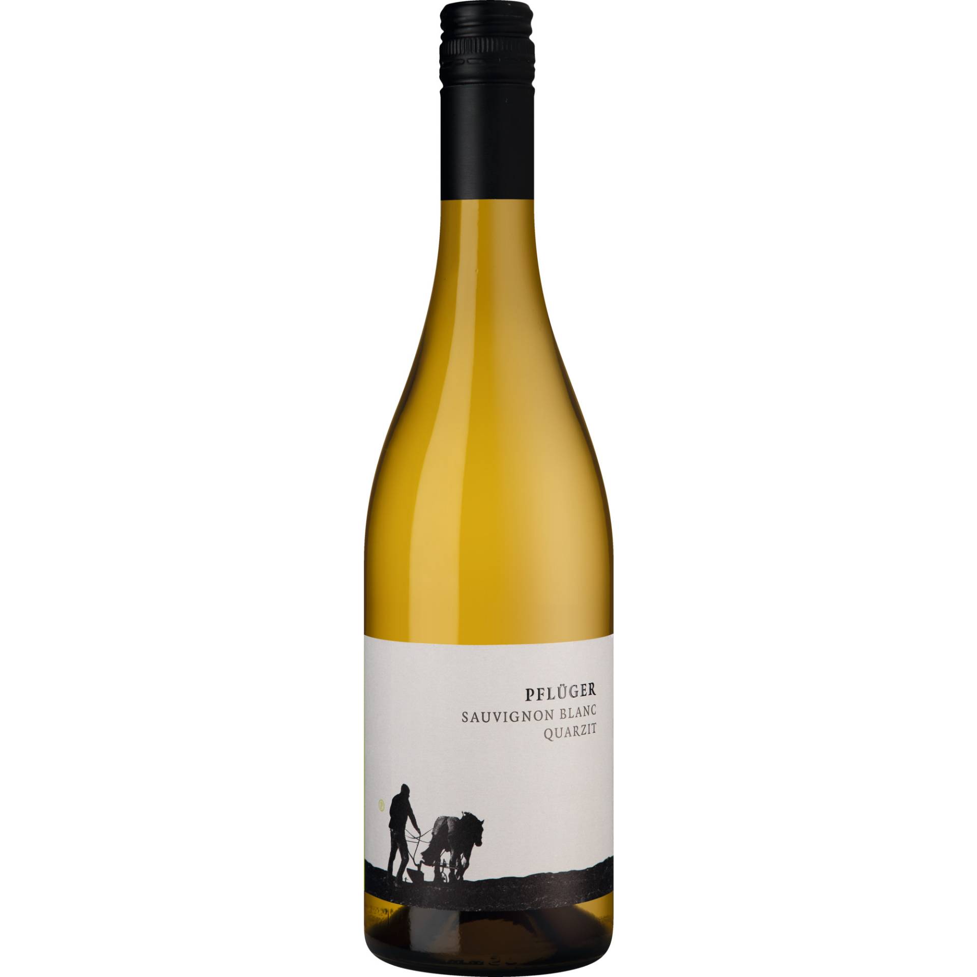 Pflüger Sauvignon Blanc vom Quarzit, Trocken, Pfalz, Pfalz, 2023, Weißwein Pflüger Sauvignon Blanc vom Quarzit, Trocken, Pfalz, Pfalz, 2023, Weißwein von Weinkontor A.& J. Pflüger, D - 67098 Bad Dürkheim
