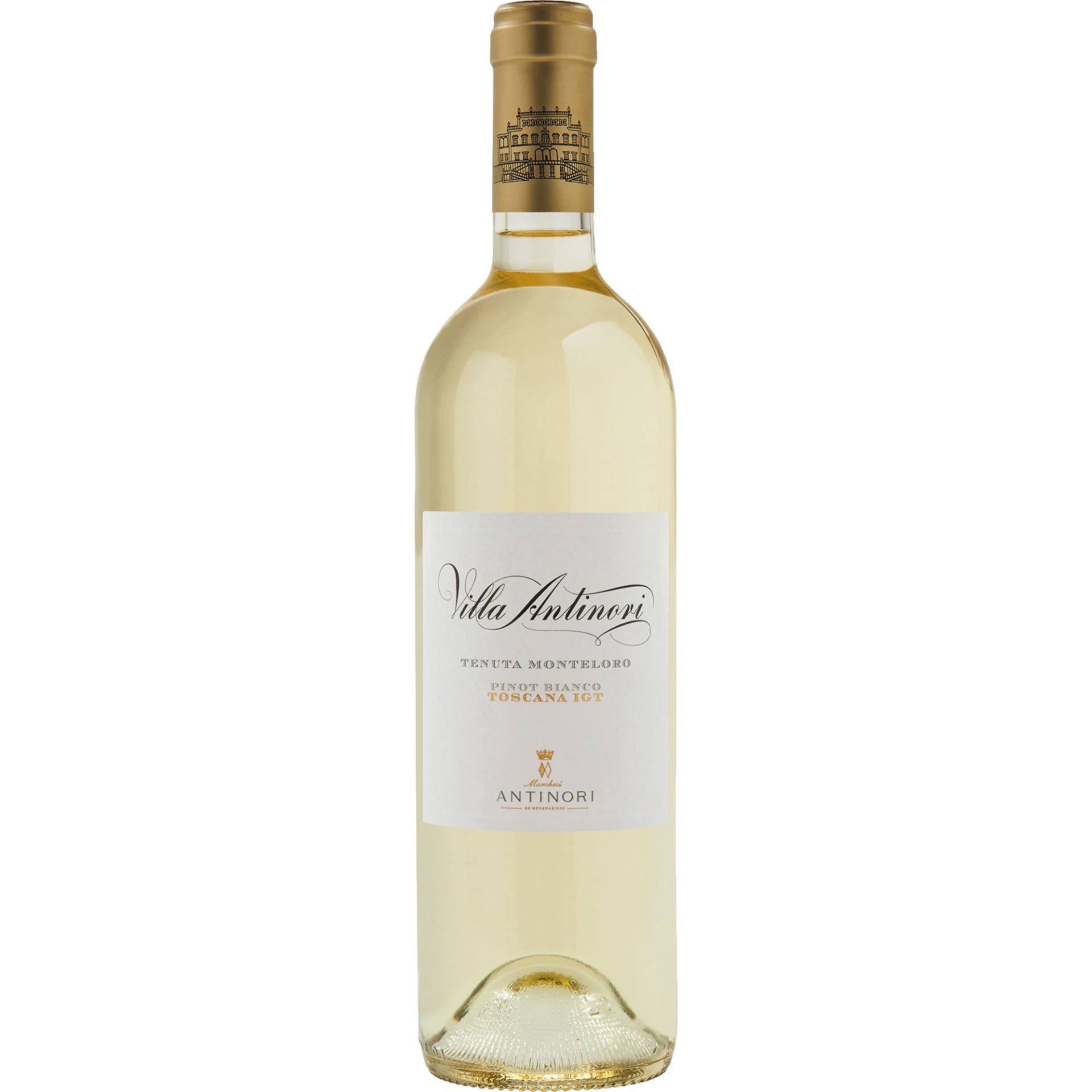 Pinot Bianco, Toscana IGT, Toskana, 2023, Weißwein Pinot Bianco, Toscana IGT, Toskana, 2023, Weißwein von Weinland Ariane Abayan GmbH,20251,Hamburg,Deutschland