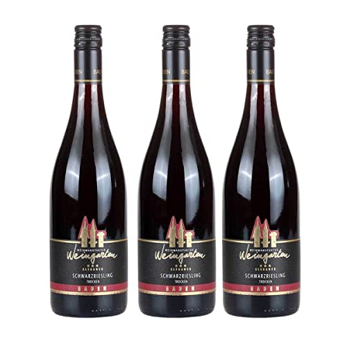 3 Flaschen Weinmanufaktur Weingarten Schwarzriesling Elegance Rotwein 12,5% vol. 0,75l 3 Flaschen Weinmanufaktur Weingarten Schwarzriesling Elegance Rotwein 12,5% vol. 0,75l von Weinmanufaktur Weingarten