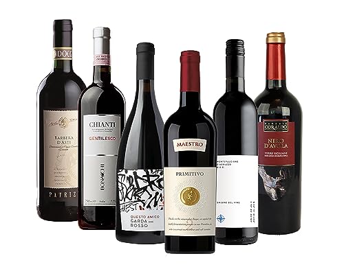 Probierpaket „Rotweinreise durch Italien“| Weinpaket mit sechs verschiedenen italienischen Rotweinen (6 x 0,75 l ) | Tolles Wein Tasting-Set | 750 ml (6er Pack) von The Wine Guys