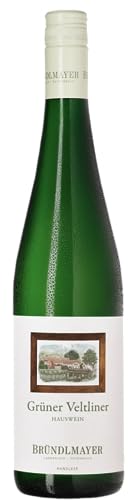 Grüner Veltliner Hauswein tr. 2022 (AT-BIO-402) von Willi Bründlmayer (1x0,75l), trockener Weisswein aus Niederösterreich von Willi Bründlmayer