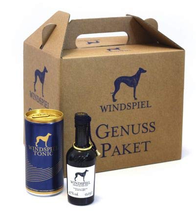 Windspiel Mini Genusspaket Gin & Tonic 3x Gin 0,05 + 3x Tonic 0,2 von Windspiel