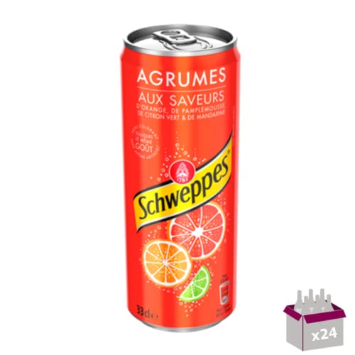 Soda Zitrusfrüchte – 24 x 33 cl von Wine And More