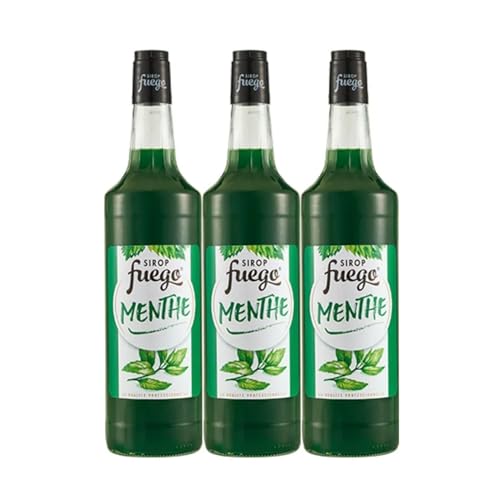 Sirop Fuego Menthe verte - 3 x 1L von Wine And More
