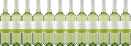 12x Wg Meissen Cabernet Blanc trocken 2021 - Winzergenossenschaft Meissen, Sachsen - Weißwein von Winzergenossenschaft Meissen