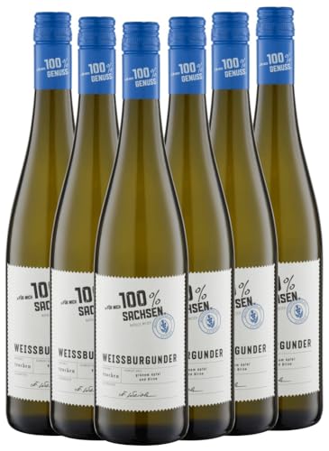 Für mich 100% Sachsen Weißburgunder trocken WG Meissen Weißwein 6 x 0,75l VINELLO - 6 x Weinpaket inkl. kostenlosem VINELLO.weinausgießer von Winzergenossenschaft Meissen