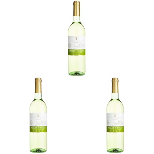 WG Meissen Müller Thurgau Sachsen QbA leh und C plus C Trocken (1 x 0.75l) (Packung mit 3) von Winzergenossenschaft Meissen