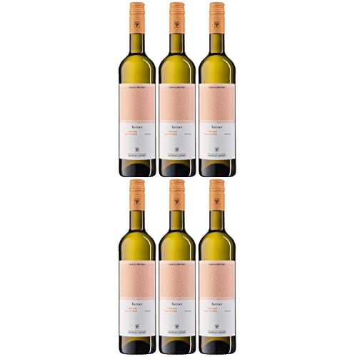 WV Freyburg-Unstrut Saale-Unstrut Kerner Weißwein Wein trocken Deutschland I Visando Paket (6 x 0,75l) von Winzervereinigung Freyburg-Unstrut