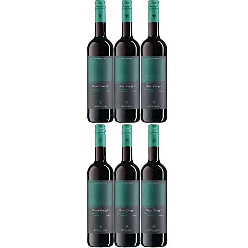 WV Freyburg-Unstrut Zweigelt QbA Rotwein Wein trocken Deutschland (6 Flaschen) von Winzervereinigung Freyburg-Unstrut