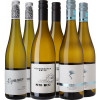 WirWinzer Select 2023 Grauburgunder Master-Selection von WirWinzer Select