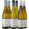 WirWinzer Select 2023 Weißwein Schatzkammer WirWinzer Select 2023 Weißwein Schatzkammer von WirWinzer Select