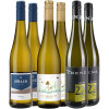 WirWinzer Select 2024 Riesling Entdecker-Vielfalt von WirWinzer Select