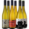 WirWinzer Select 2024 Sauvignon Blanc Aromenvielfalt von WirWinzer Select