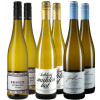 WirWinzer Select 2024 Sauvignon Blanc Entdecker-Paket WirWinzer Select 2024 Sauvignon Blanc Entdecker-Paket von WirWinzer Select