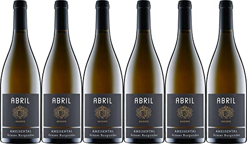 Abril ZEIT Grauer Burgunder "Ameisental" 2022 Trocken Ecovin Bio (6 x 0.75 l) von WirWinzer