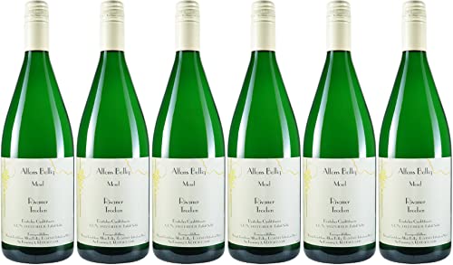 Alfons Bollig Rivaner Qualitätswein 2021 Trocken (6 x 1.0 l) von WirWinzer