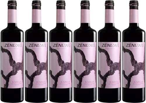 Bodegas Salzillo Zenizate Syrah Jumilla DO 2022 Trocken (6 x 0.75 l) von WirWinzer