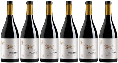 Bodegas Vallobera Finca Vallobera Rioja DOCa 2020 Trocken (6 x 0.75 l) von WirWinzer