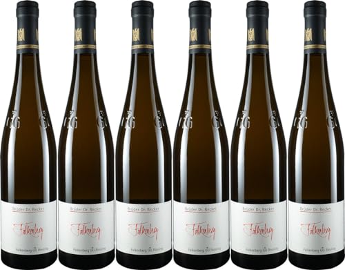 Brüder Dr. Becker Falkenberg Riesling 2021 Trocken Demeter Bio (6 x 0.75 l) von WirWinzer