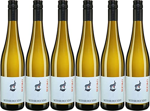 Burnikel Weißburgunder 2024 Trocken (6 x 0.75 l) von WirWinzer