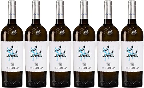 Cantine Paololeo Numen Chardonnay Salento IGP 2024 Trocken (6 x 0.75 l) von WirWinzer