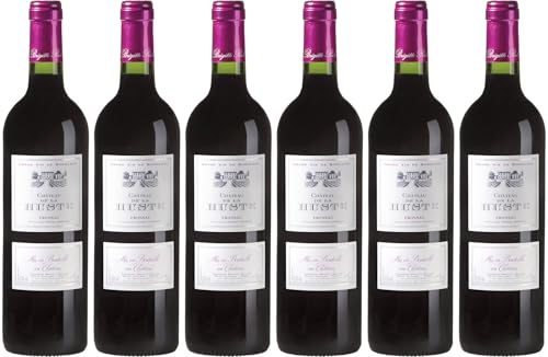 Château Dalem Château de la Huste Fronsac AOP 2020 Trocken (6 x 0.75 l) von WirWinzer