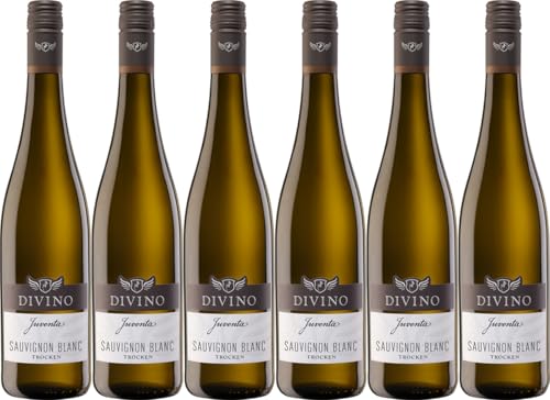 Divino eG JUVENTA Sauvignon Blanc 2024 Trocken (6 x 0.75 l) von WirWinzer