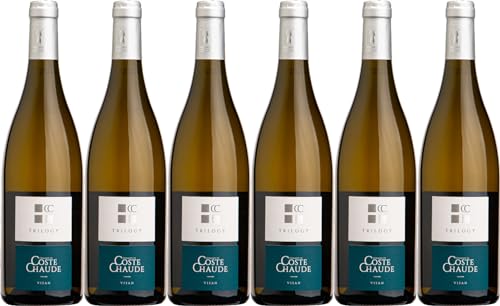 Domaine de Coste Chaude Triology Côtes du Rhône Villages Visan AOP 2019 Trocken Bio (6 x 0.75 l) von WirWinzer