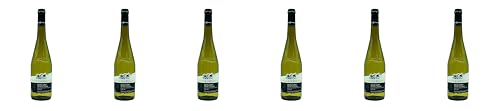 Domaine de l'Aurière Domaine de la Bernardiere Muscadet Sèvre et Maine AOP 2023 Trocken (6 x 0.75 l) von WirWinzer
