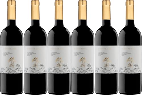 Dominio de Montelahorra El Canto del Ángel Ribera del Duero DO 2019 Trocken (6 x 0.75 l) von WirWinzer