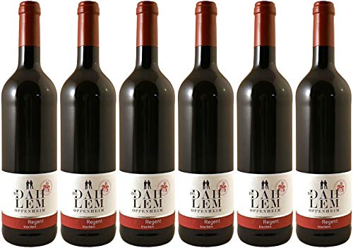 Dr. Dahlem Oppenheimer Schloss Regent 2022 Trocken (6 x 0.75 l) von WirWinzer