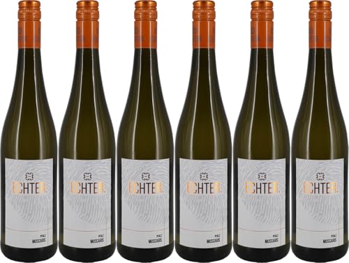 Echter Muscaris 2024 Süß (6 x 0.75 l) von WirWinzer