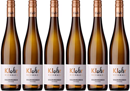 Edgar Klohr Grauburgunder 2022 Feinherb (6 x 0.75 l) von WirWinzer