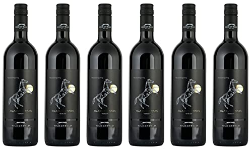 Eichenwald Weine Merlot - DAS HOHE ROSS 2019 Trocken (6 x 1.5 l) von WirWinzer