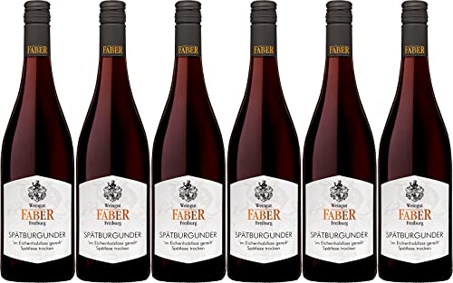 Faber Merdinger Bühl Spätburgunder Alte Rebe 2020 Trocken (6 x 0.75 l) von WirWinzer