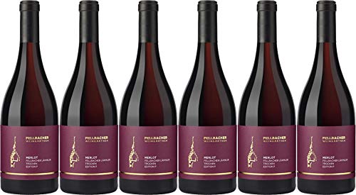 Fellbacher eG Lämmler Merlot >P 2021 Trocken (6 x 0.75 l) von WirWinzer